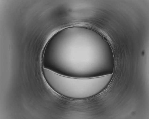 X0000091461483200708161057