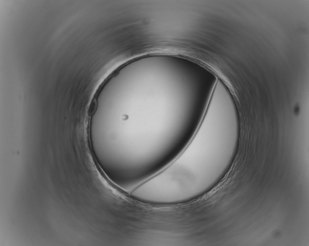 X0000091461484200708161057