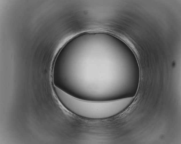 X0000091461485200708161057
