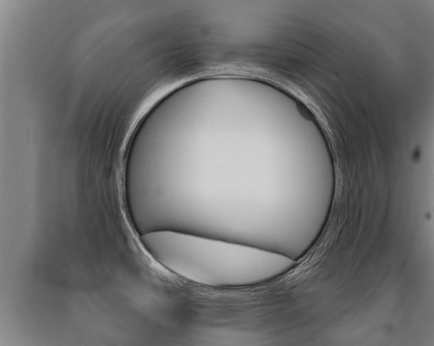 X0000091461486200708161057
