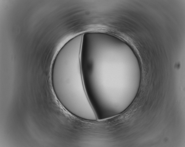 X0000091461488200708161057