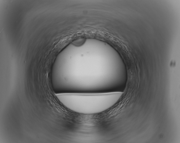 X0000091461489200708161056