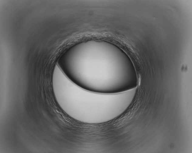 X0000091461492200708161056