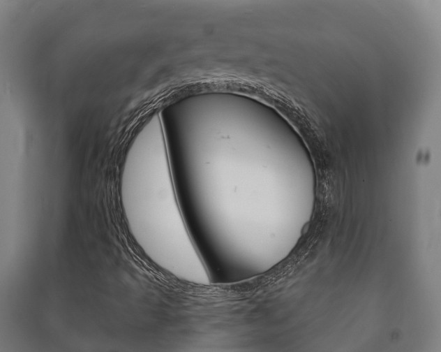 X0000091461493200708161056