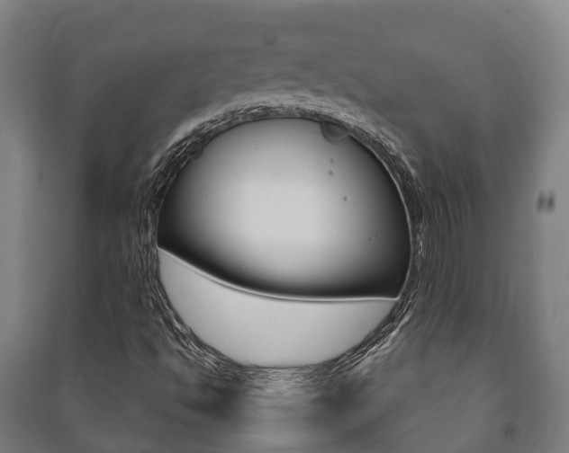 X0000091461494200708161056