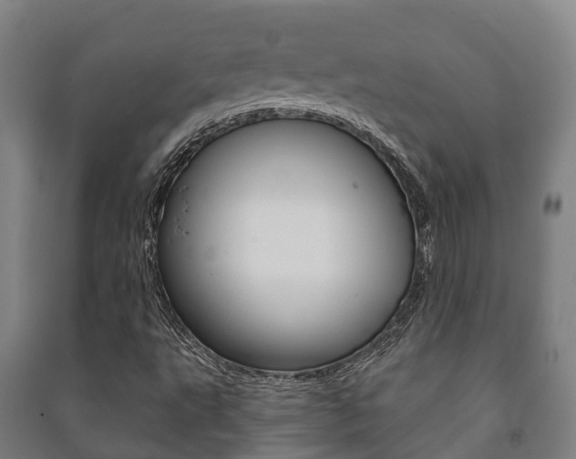 X0000091461495200708161056