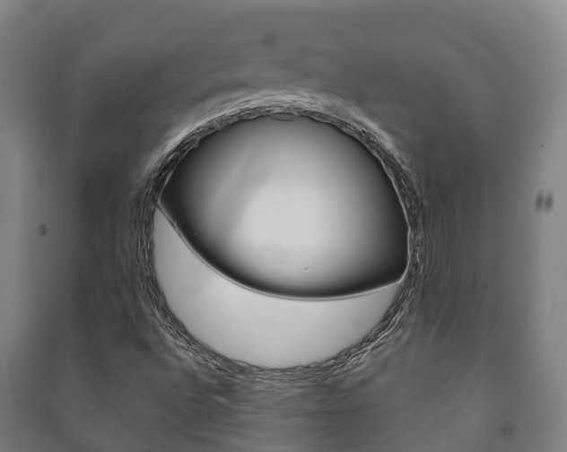 X0000091461496200708161057