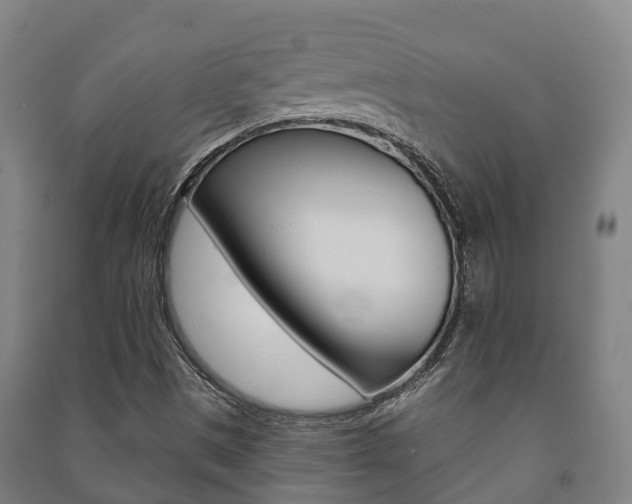 X0000091461497200708161057
