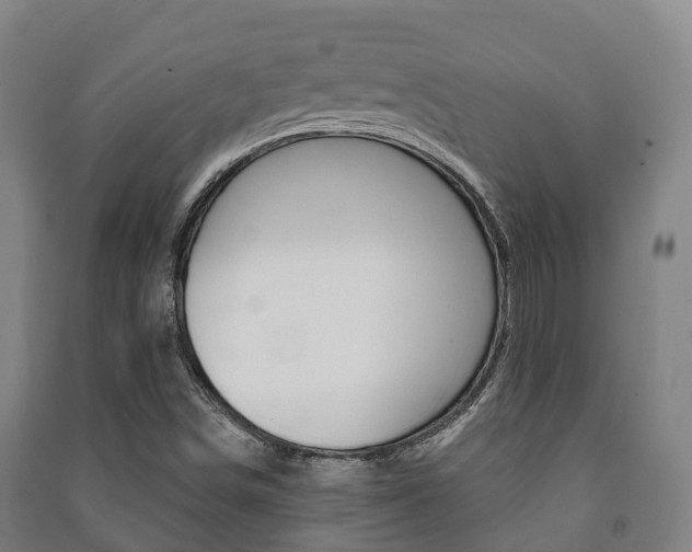 X0000091461498200708161057