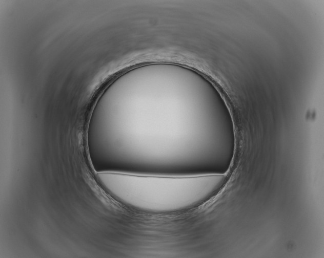 X0000091461499200708161057