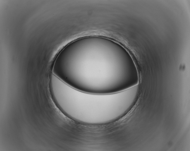 X0000091461500200708161057