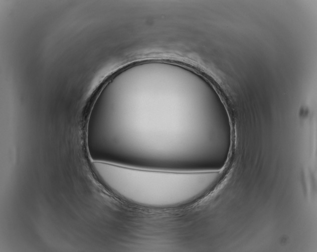 X0000091461501200708161057