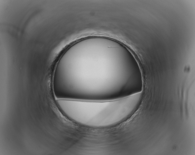 X0000091461503200708161057