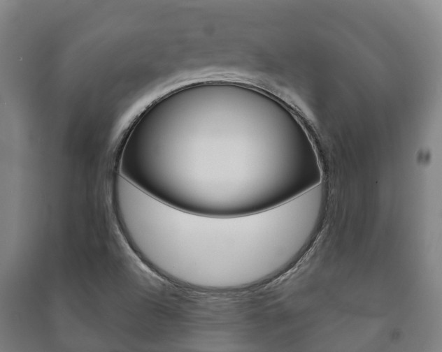 X0000091461504200708161057
