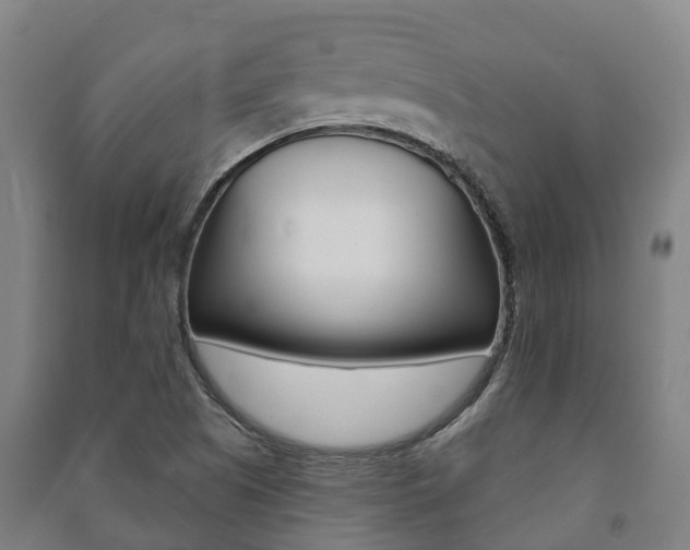 X0000091461505200708161057