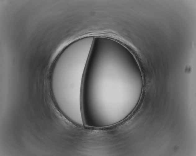 X0000091461506200708161057