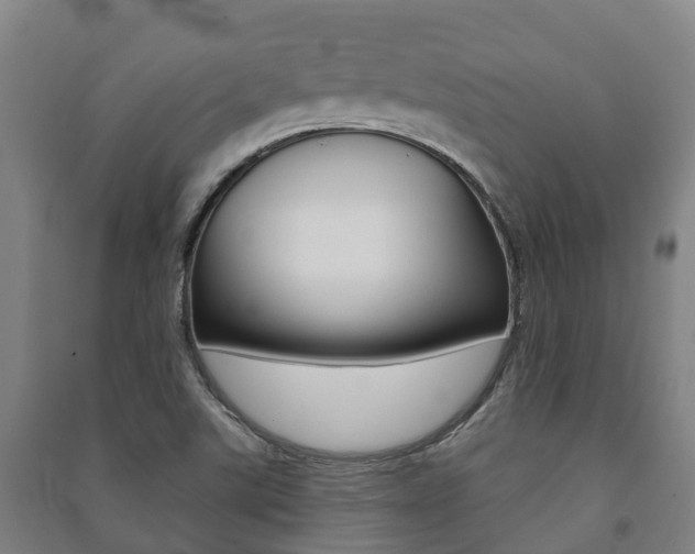 X0000091461507200708161057