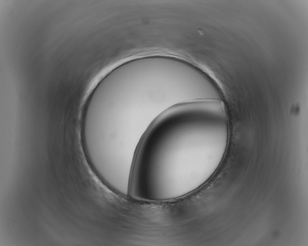 X0000091461508200708161057