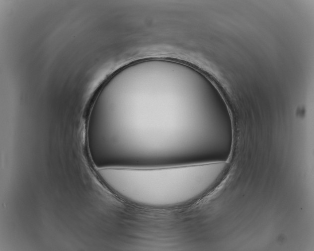 X0000091461509200708161057