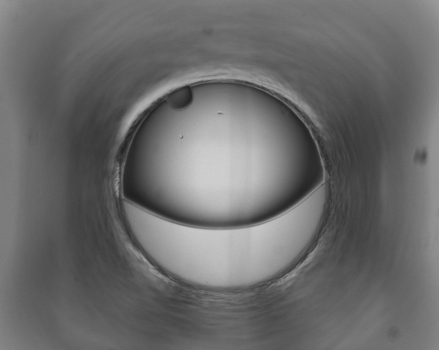 X0000091461510200708161057