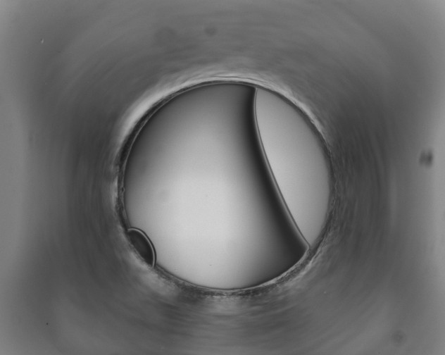 X0000091461511200708161057