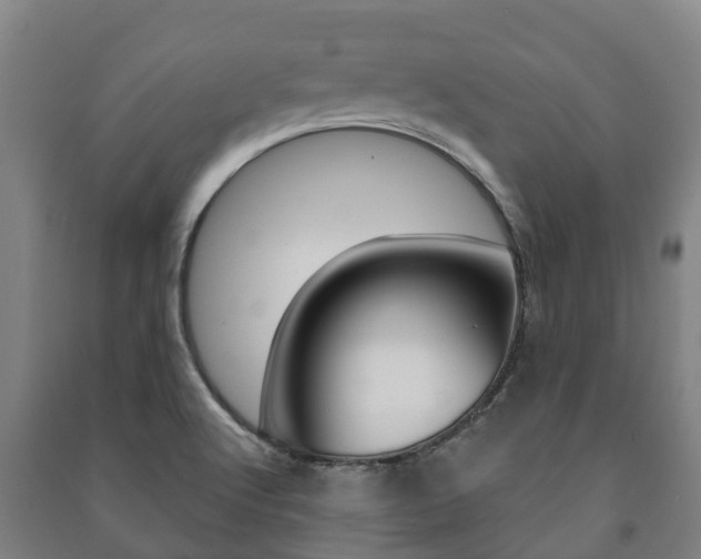 X0000091461512200708161057