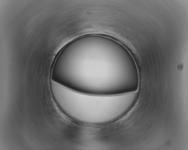 X0000091461513200708161057