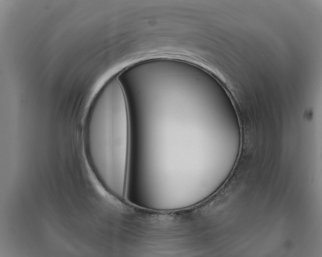X0000091461515200708161057