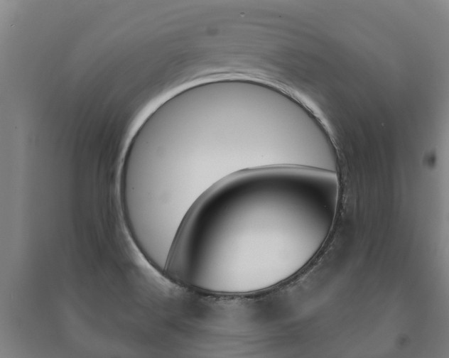 X0000091461516200708161057
