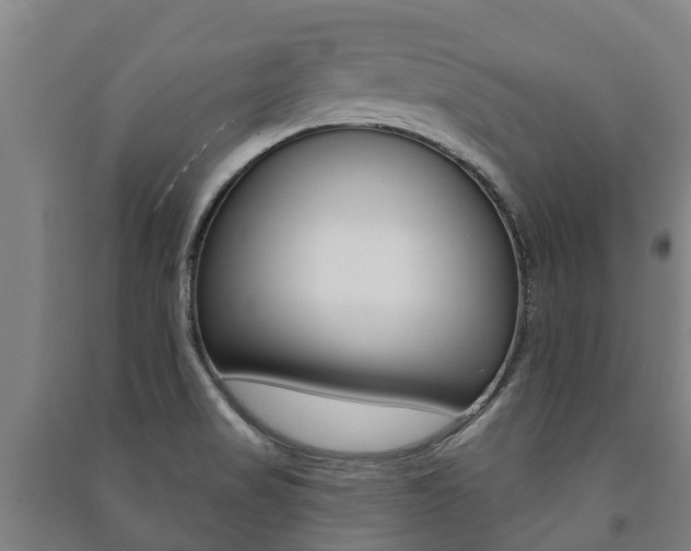 X0000091461517200708161057