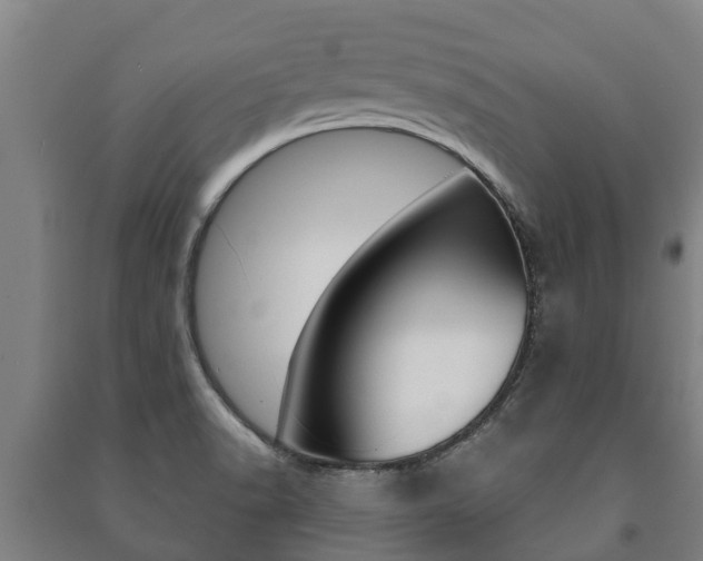 X0000091461518200708161057