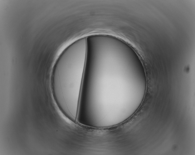 X0000091461519200708161057