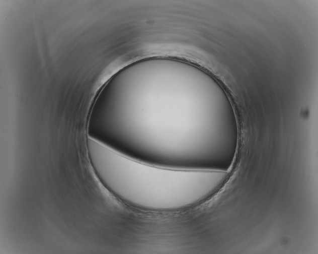 X0000091461521200708161057