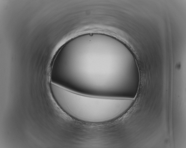 X0000091461522200708161057