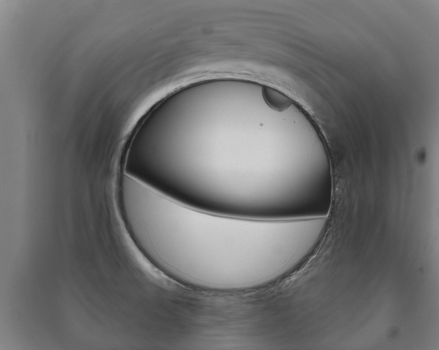 X0000091461523200708161057