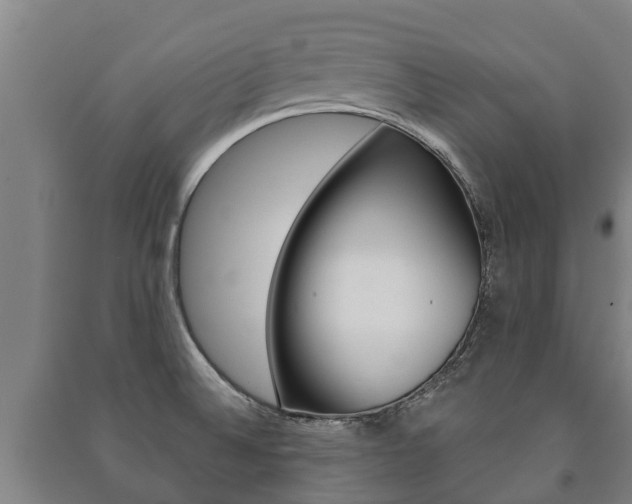 X0000091461524200708161057