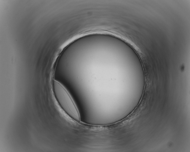X0000091461526200708161057