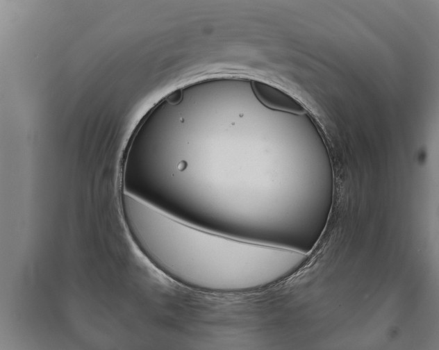 X0000091461527200708161057