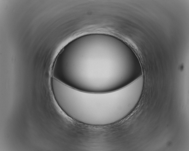X0000091461528200708161057