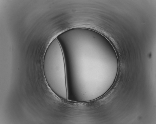 X0000091461529200708161057
