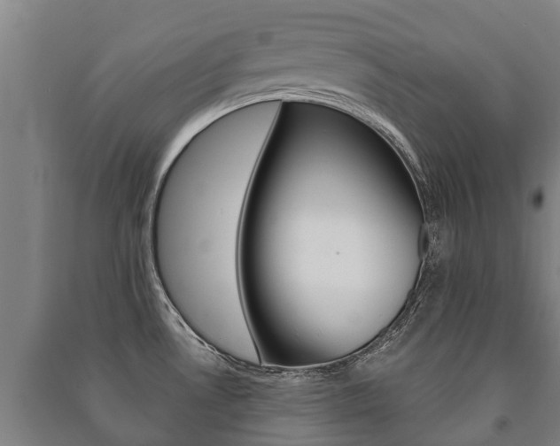 X0000091461530200708161057