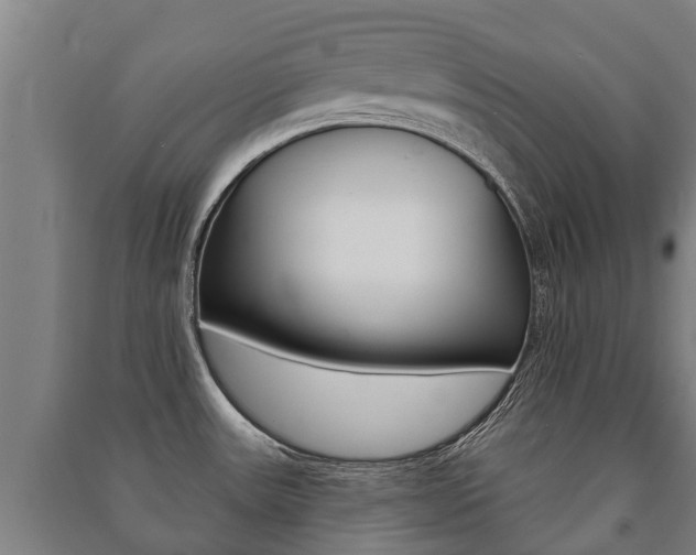 X0000091461531200708161057