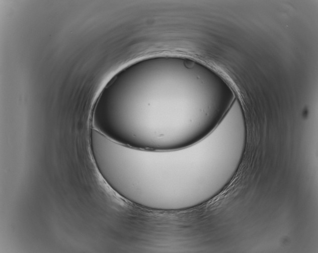 X0000091461532200708161057