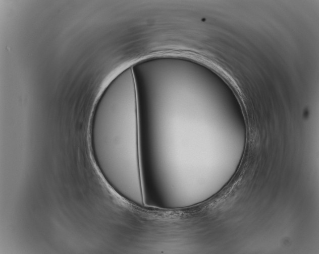 X0000091461533200708161057