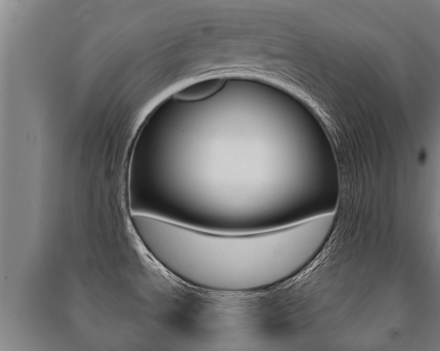 X0000091461534200708161057