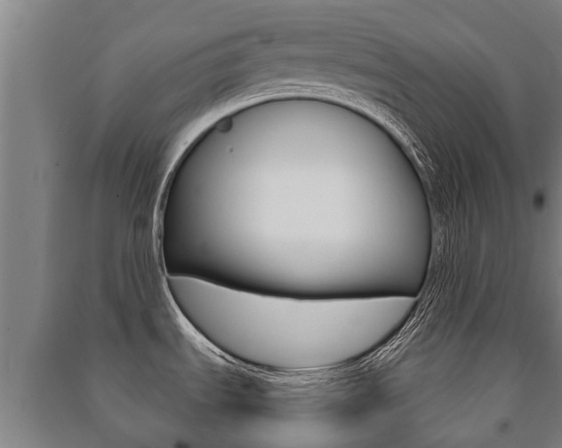 X0000091461535200708161057
