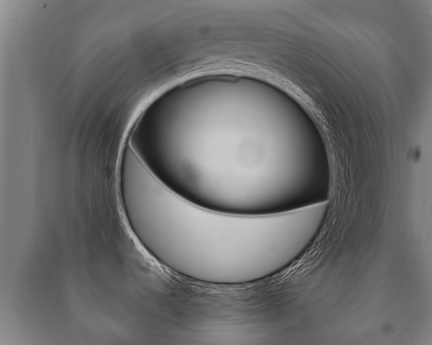 X0000091461536200708161057