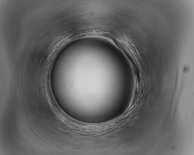X0000091460001200708161531
