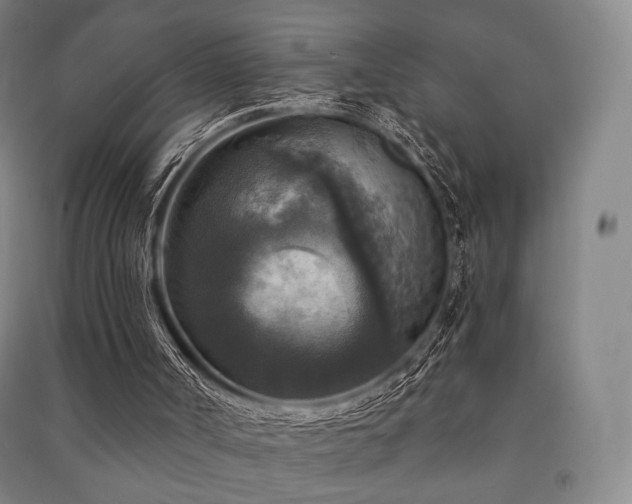 X0000091460002200708161531
