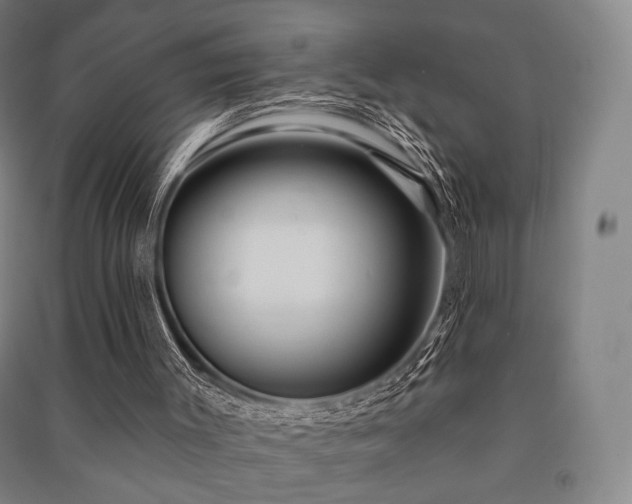 X0000091460003200708161531